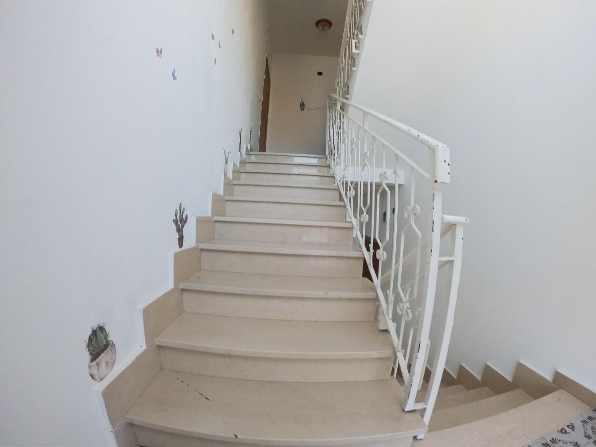Cactus House Apartment Olbia Ngoại thất bức ảnh